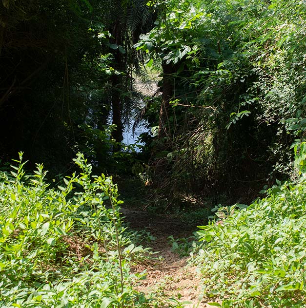 The <br>Hiran <br>Vann